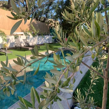 Apartment Un Jardin En